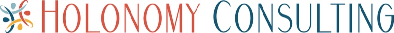 Holonomy Consulting